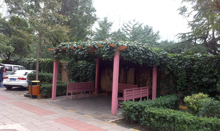 hоW(wng)